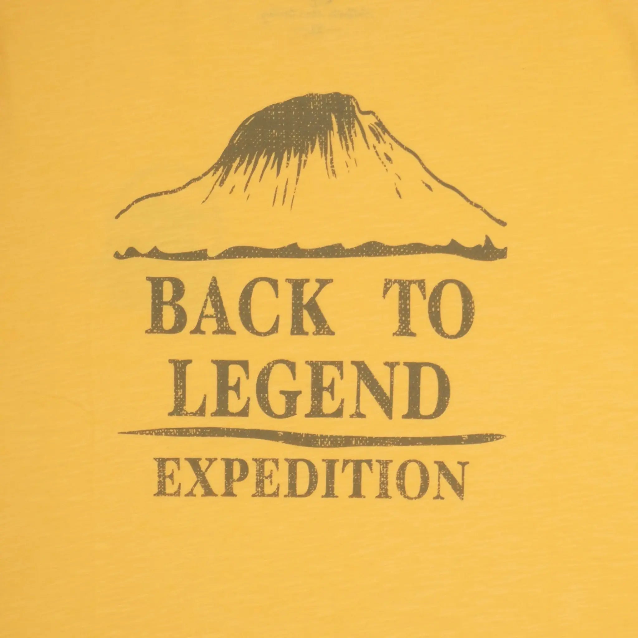 T-shirt expédition jaune ocre pour homme à col rond BACK to LEGEND (zoom print dorsal)