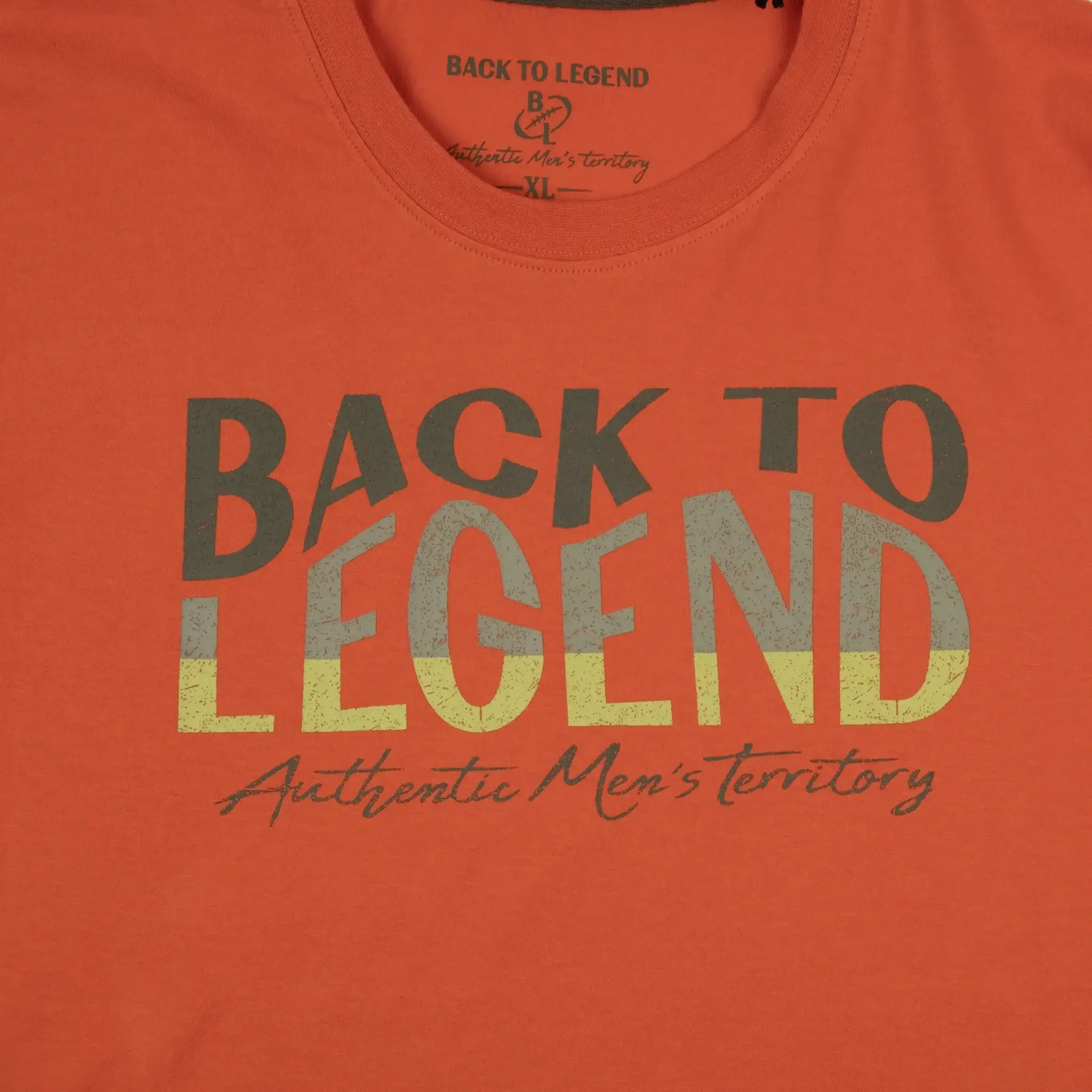 T-shirt orange à col rond pour homme BACK TO LEGEND (zoom sur le print poitrine)