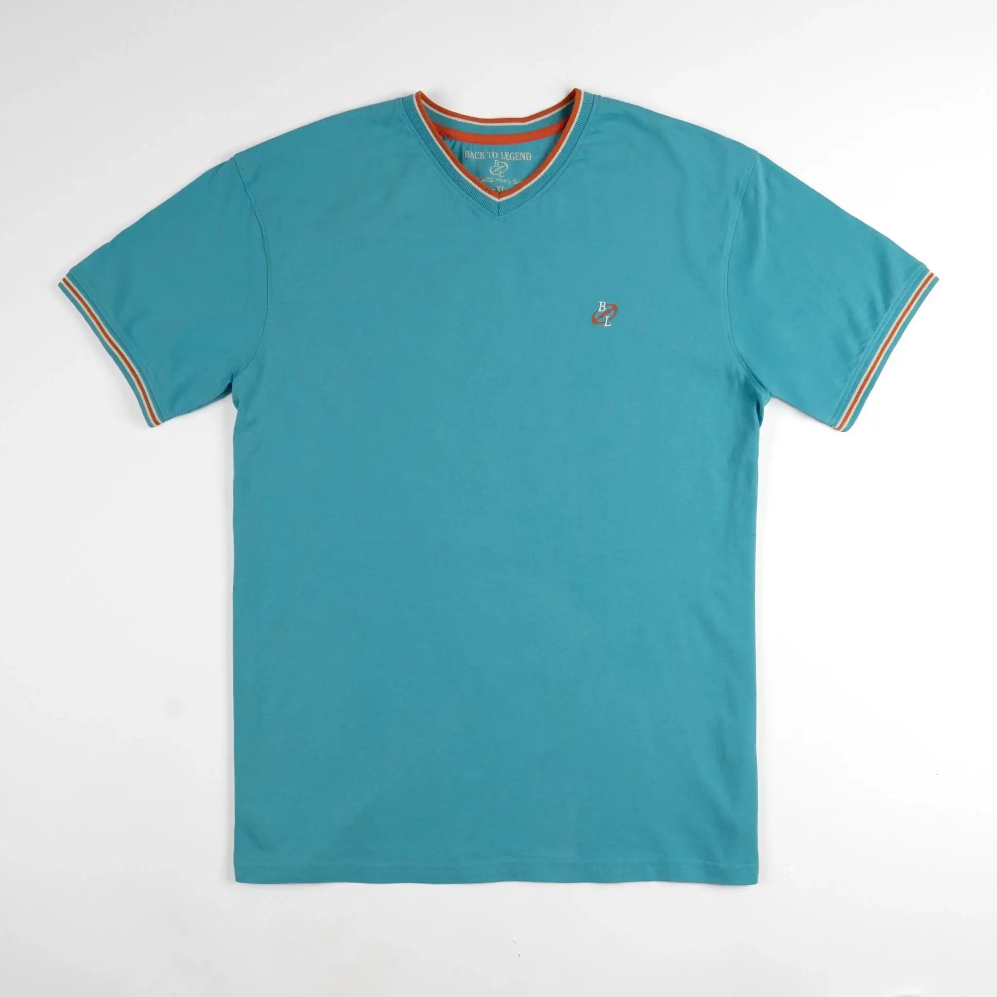 T-shirt bleu turquoise col V pour homme BACK to LEGEND (vêtement à plat de face)