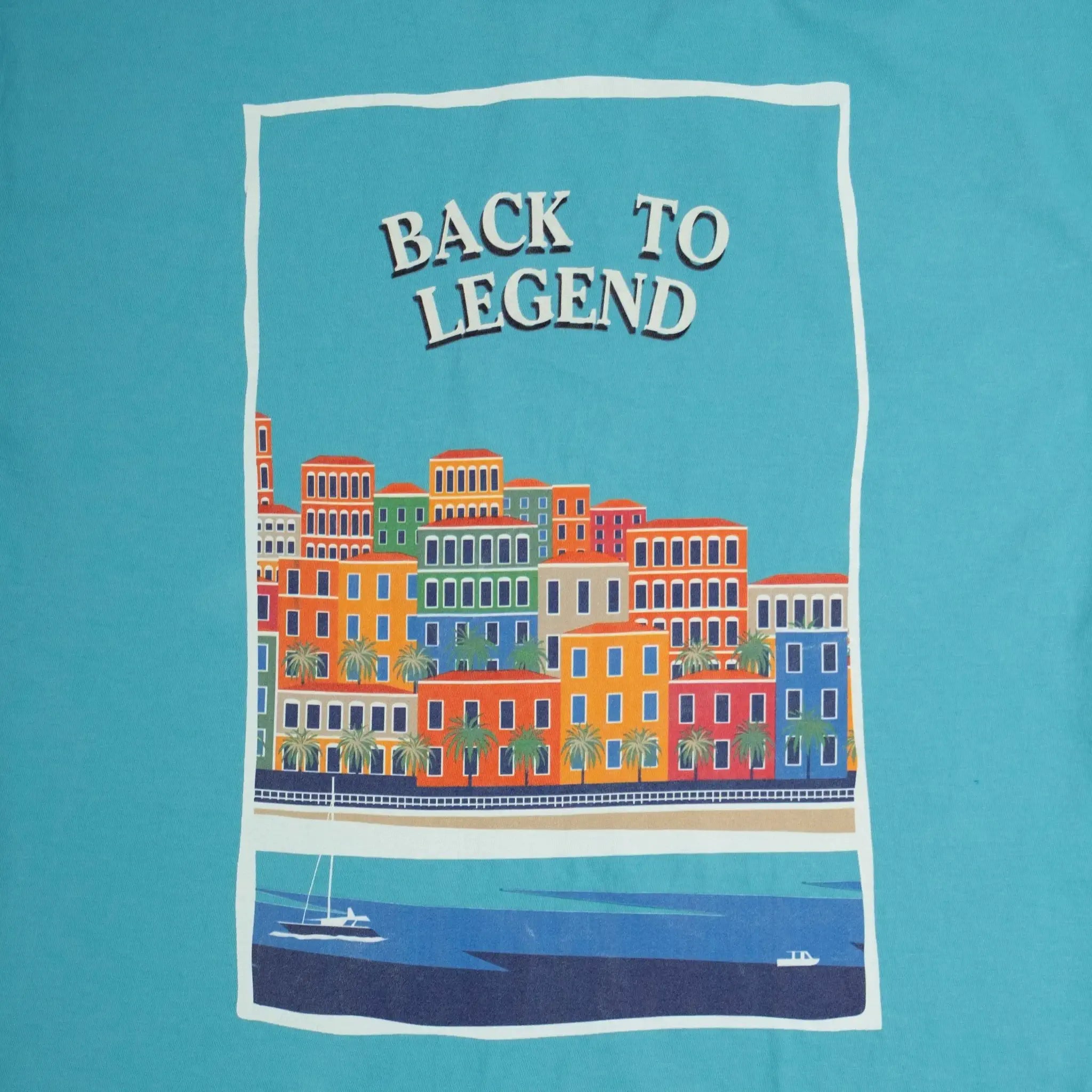 T-shirt bleu turquoise col V pour homme BACK to LEGEND (zoom print dorsal)