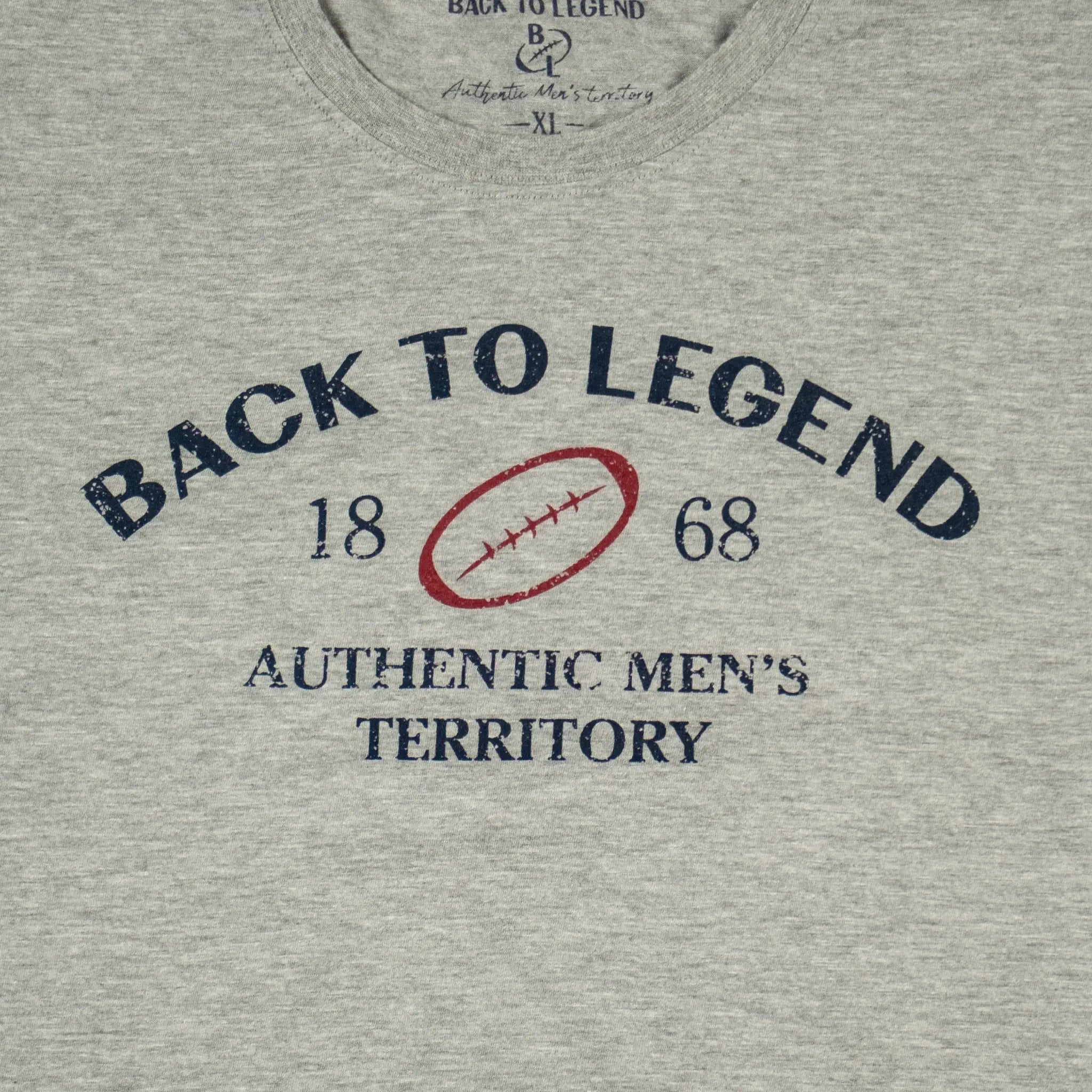 T-shirt homme gris chiné col rond BACK TO LEGEND (zoom print poitrine)