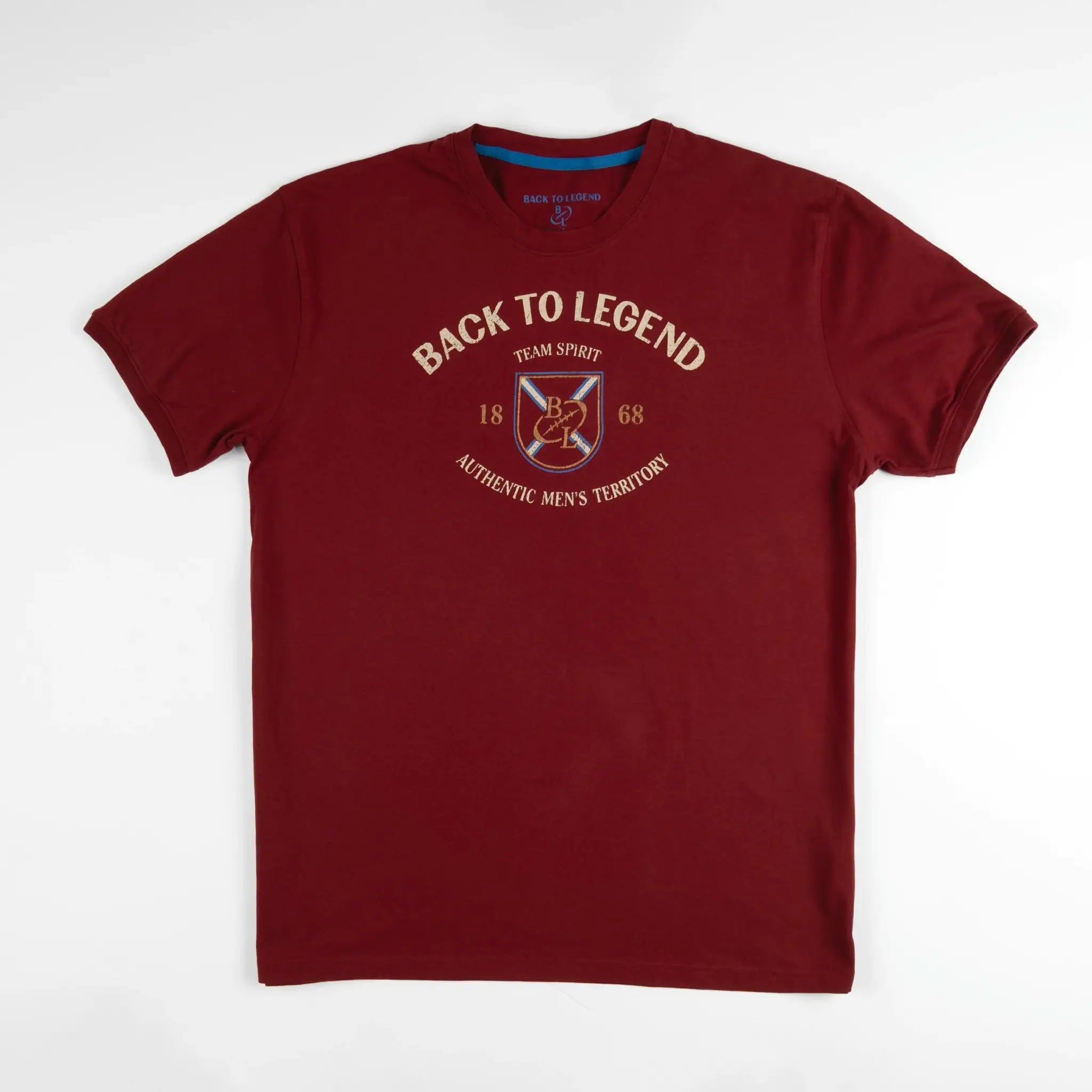 T-shirt rouge col V pour homme BACK TO LEGEND (vêtement à plat de face)